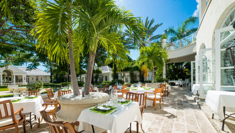 100 palmspr 04407
