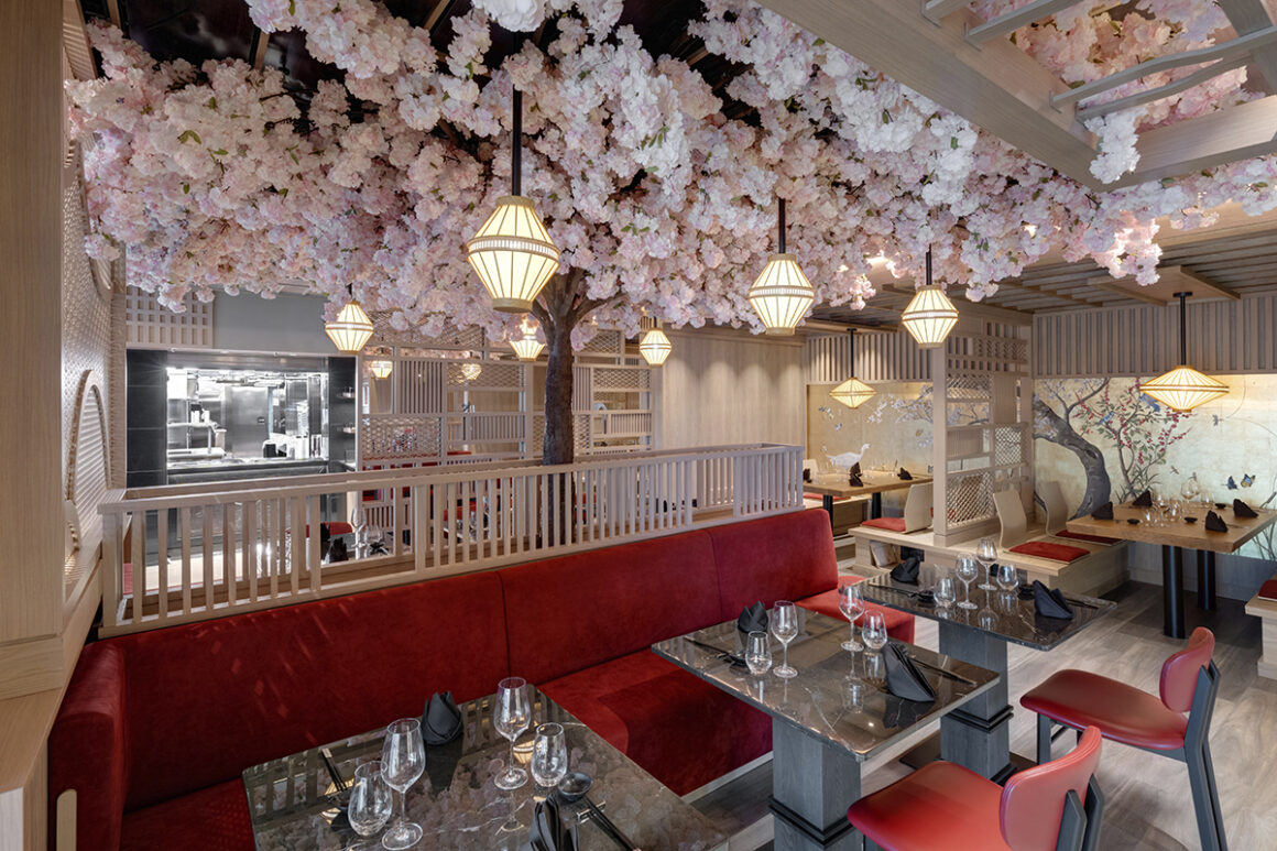 EXPLORA I_SAKURA_01