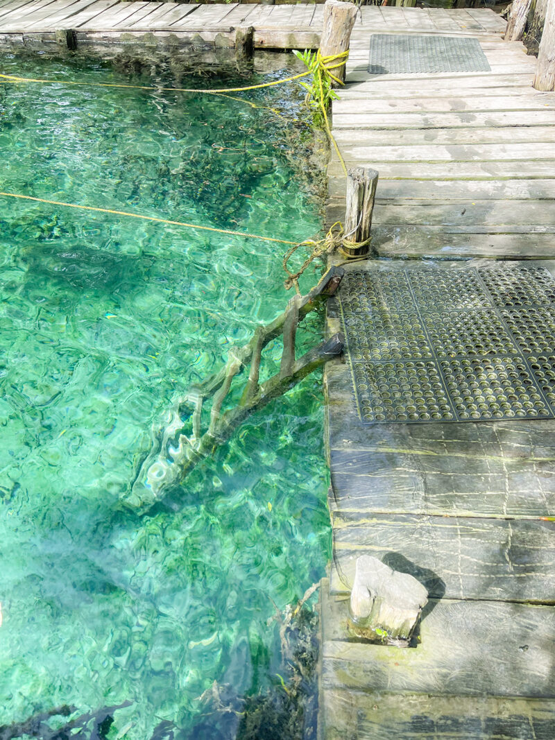 SPRINGS