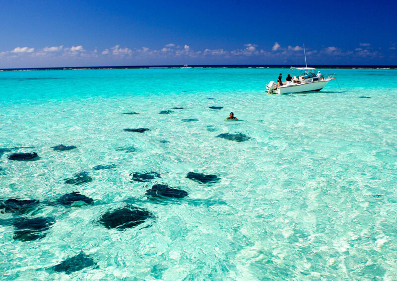 Stingray City 2 - Photo Credit Cayman Islands Department of Tourism
