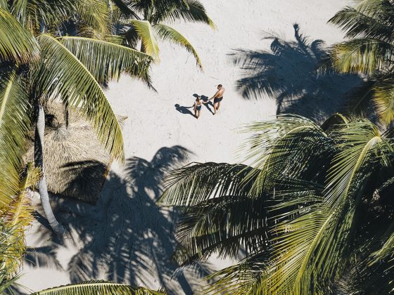 Island Paradise