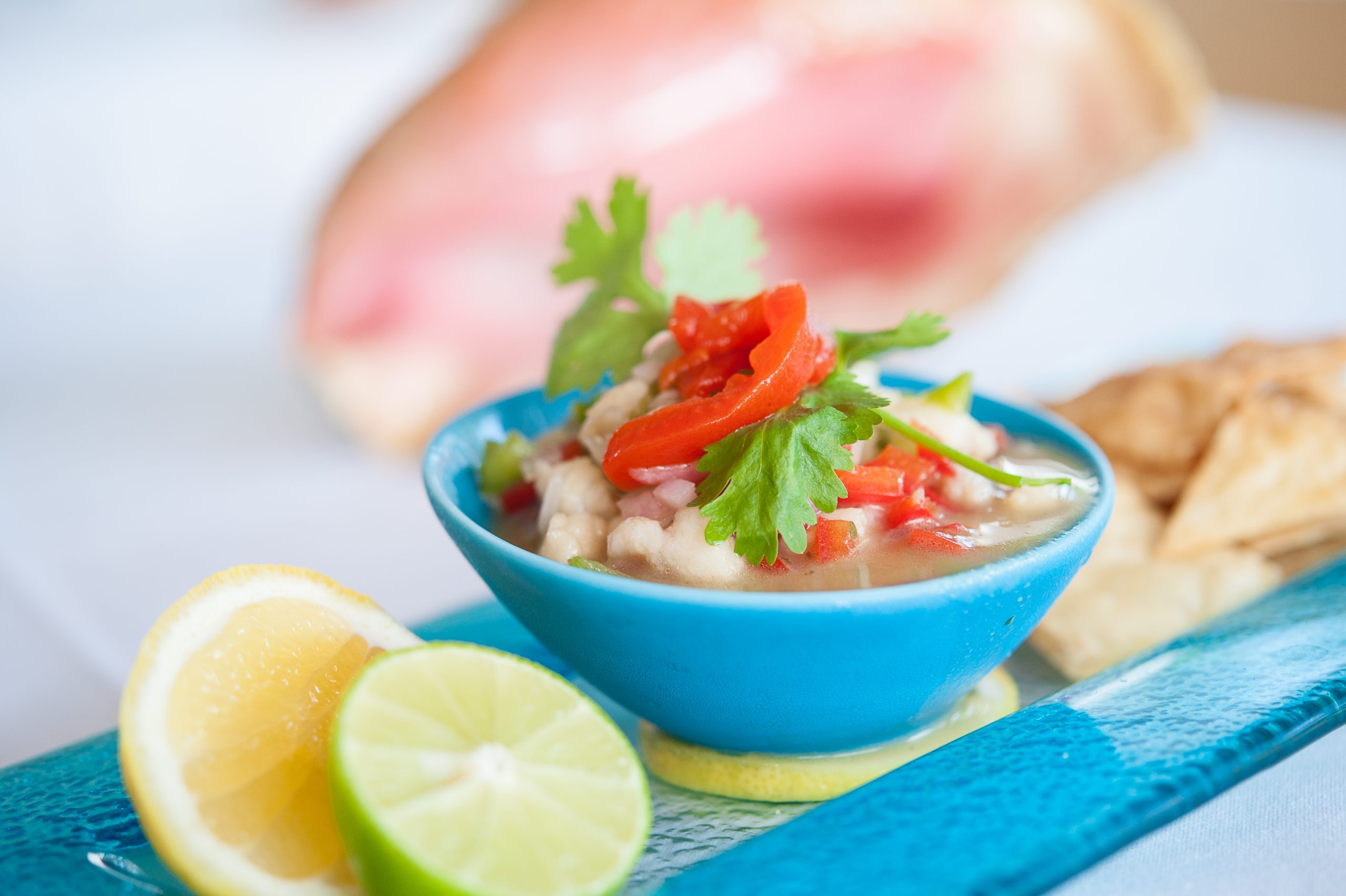tukka-lion-fish-ceviche